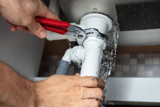 Best Professional water damage repair  in Forked River, NJ
