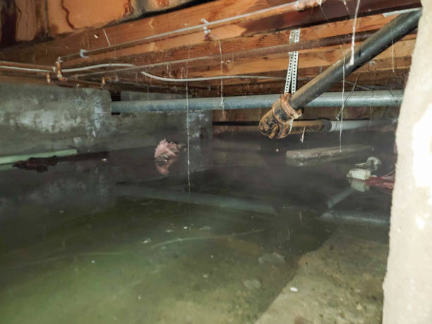 Best Professional water damage repair  in Forked River, NJ