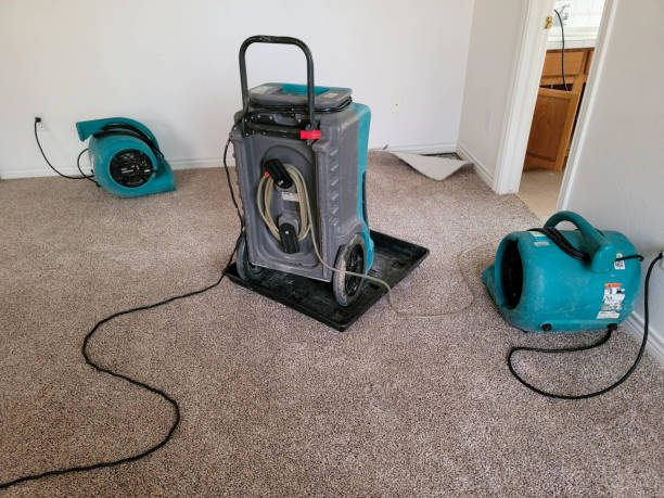 Best Mold removal after water damage  in Forked River, NJ