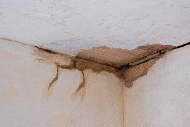 Best Residential water damage restoration  in Forked River, NJ