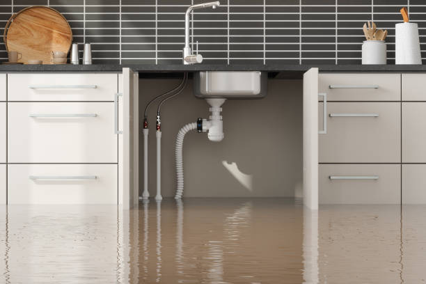 Best Water damage mitigation services  in Forked River, NJ