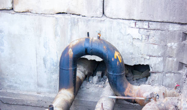 Best Basement water damage restoration  in Forked River, NJ