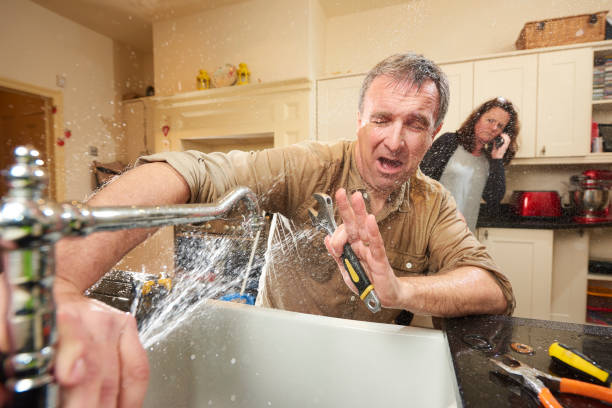 Best Water damage restoration near me  in Forked River, NJ